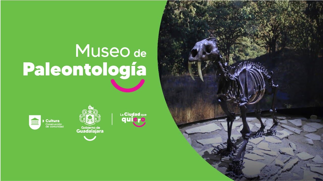 ¡Viaja al Pasado! Descubre el Fascinante Mundo de los Dinosaurios en el Museo de Paleontología de Guadalajara