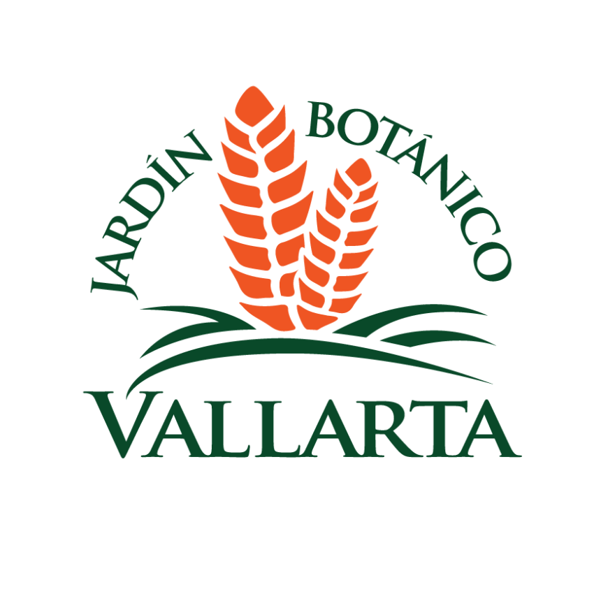 Festival del Chocolate y la Vainilla