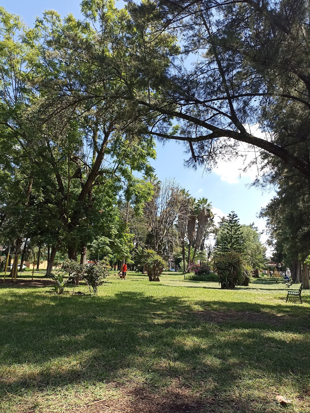 Parque Los Pinitos