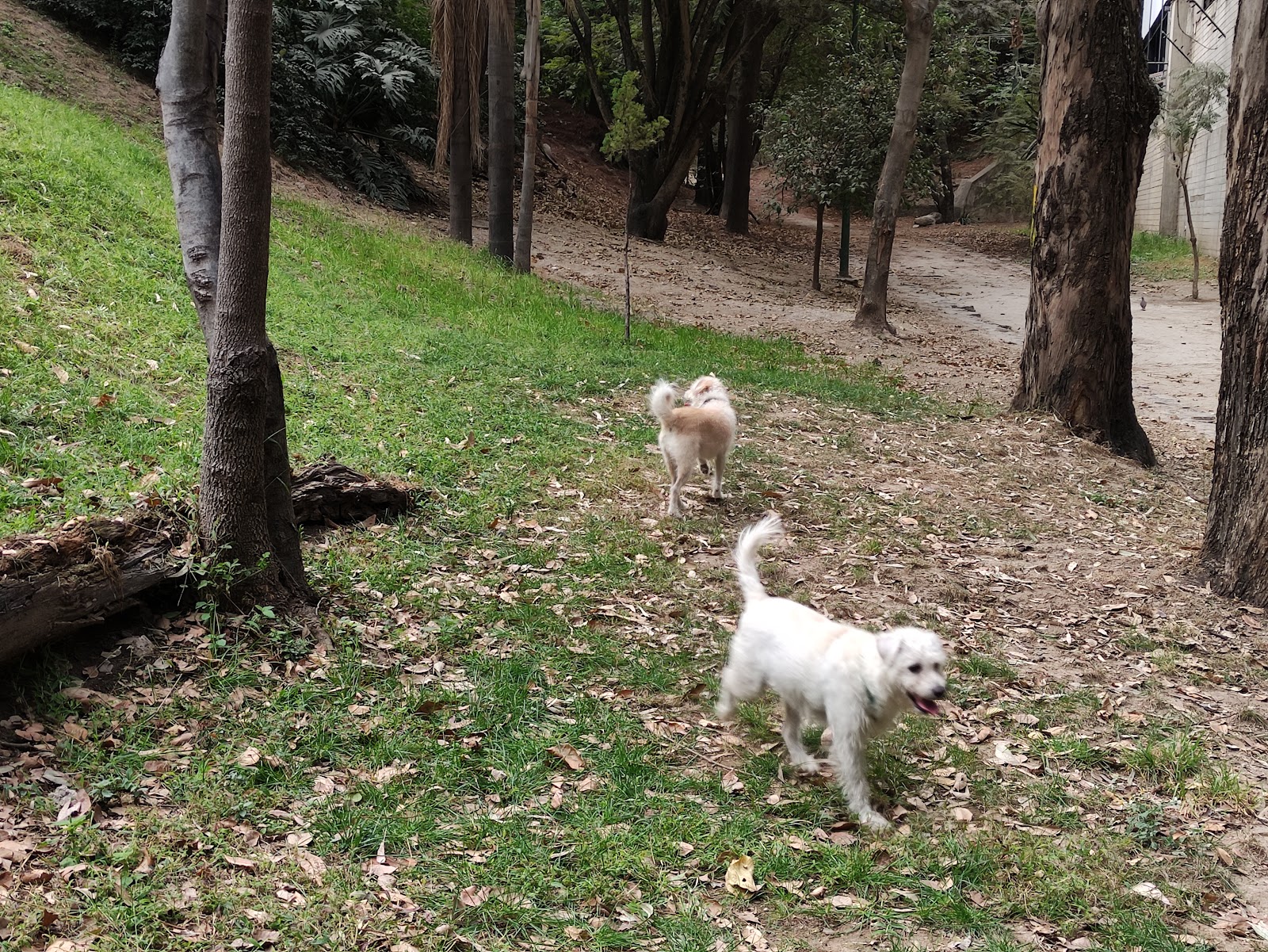 Parque Hundido Lomas Altas