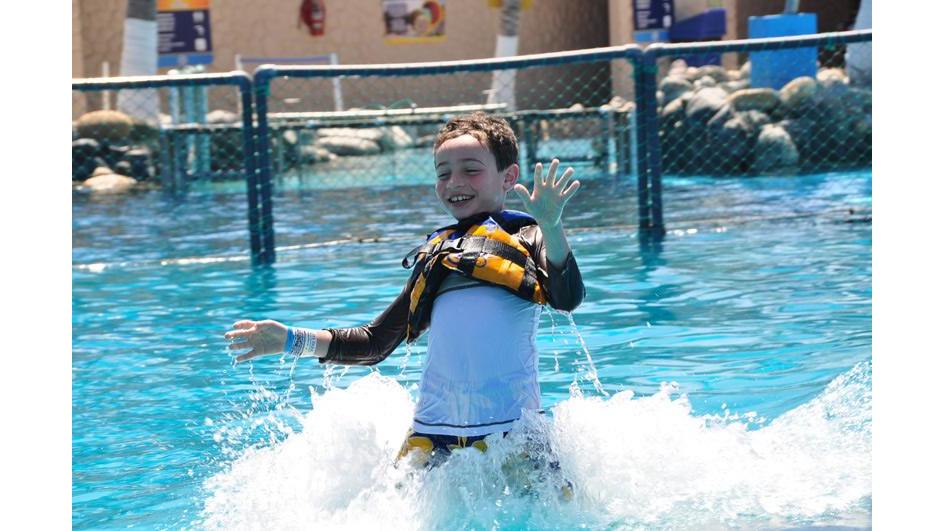 Dolphin Discovery Puerto Vallarta