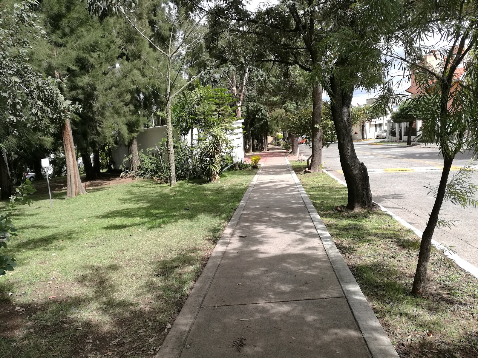 Parque Ing. Armando Camacho B.