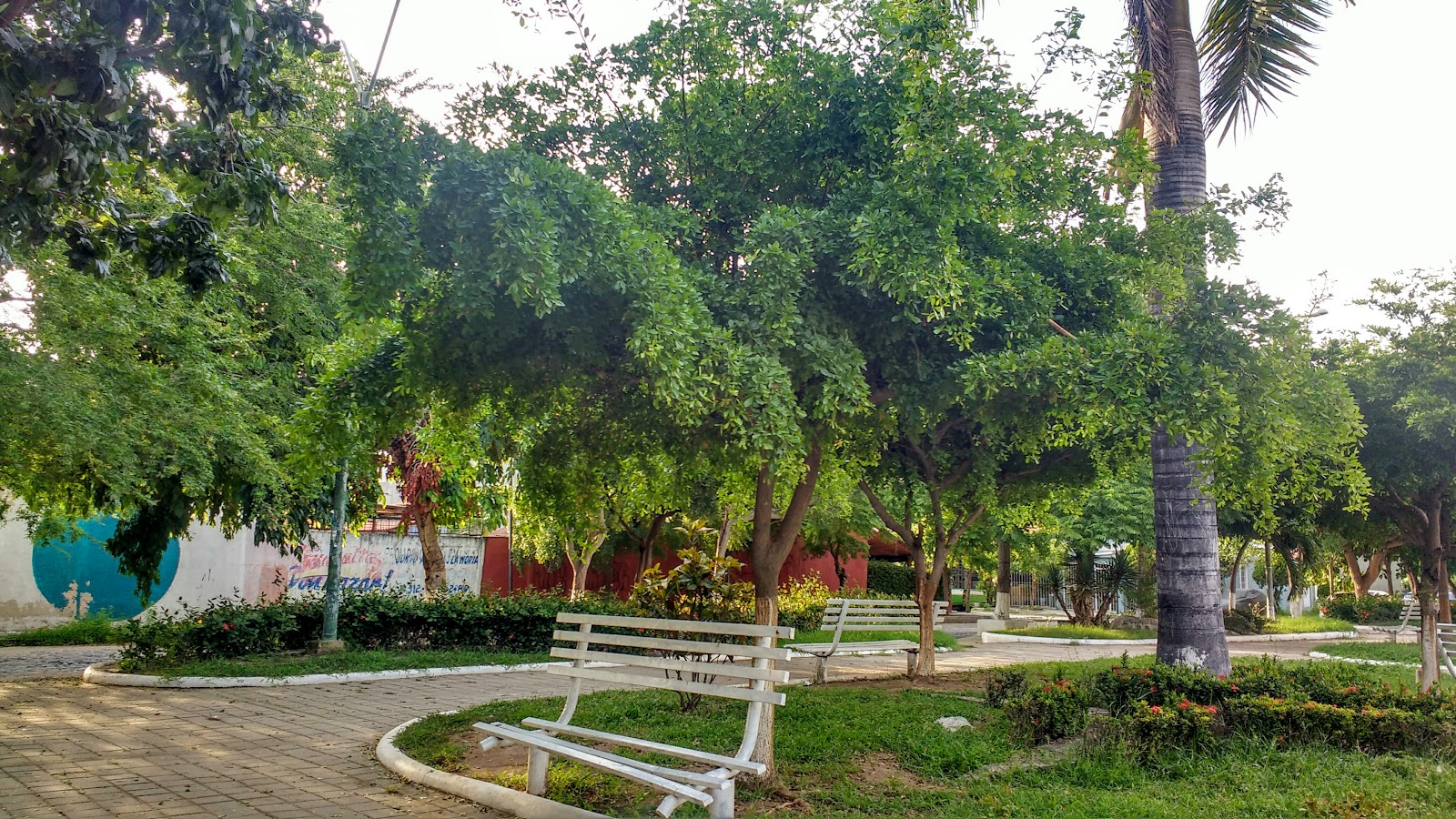 Parque de arboledas