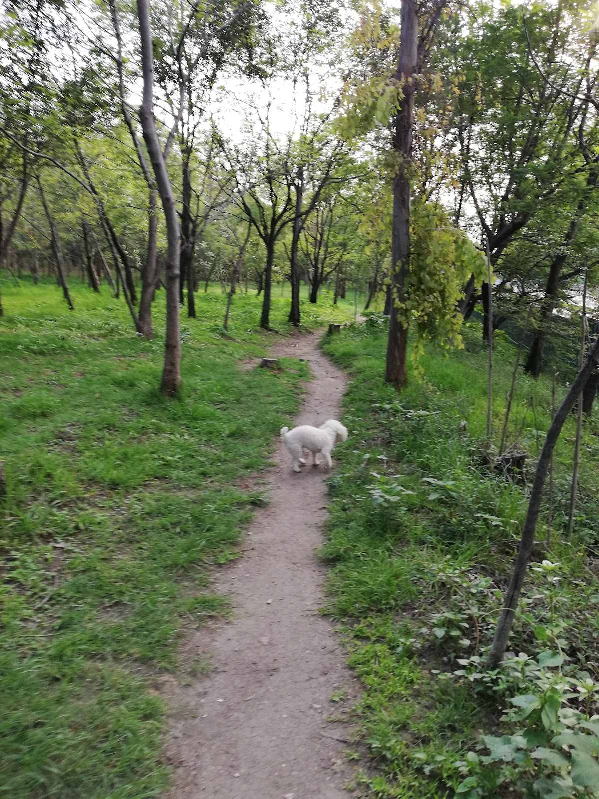 Parque Ecológico Las Aguilas