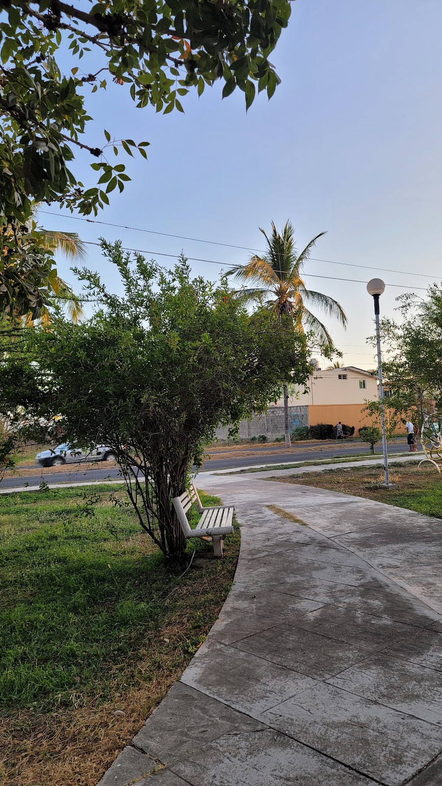 Parque Metropolitano