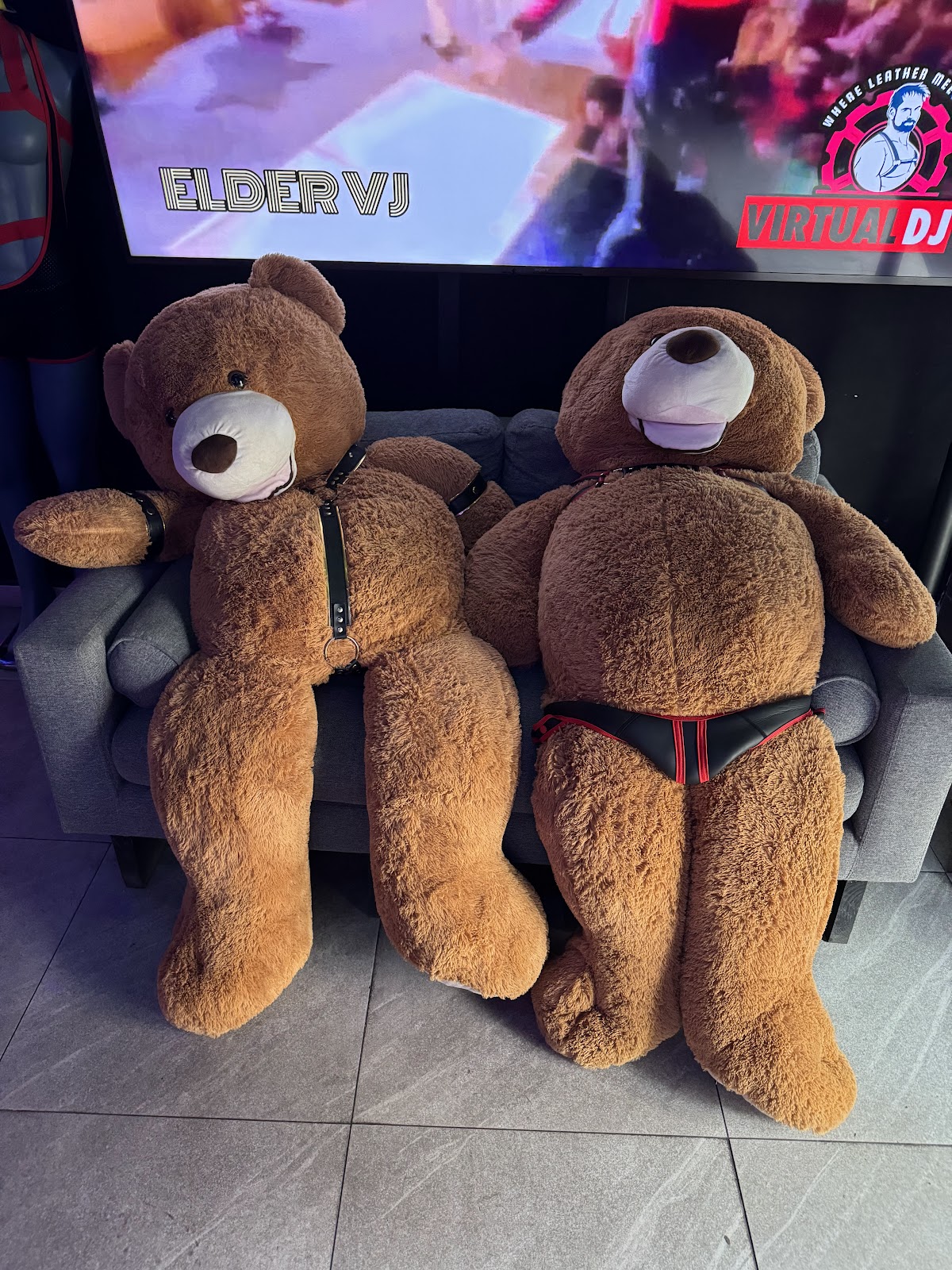 STUDS Bear Bar