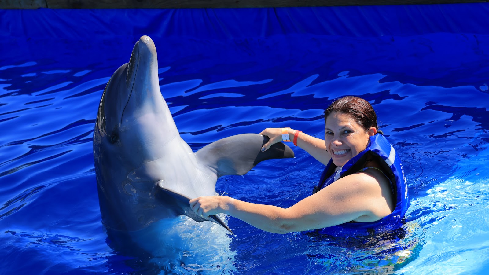 Vallarta Adventures Dolphin Center