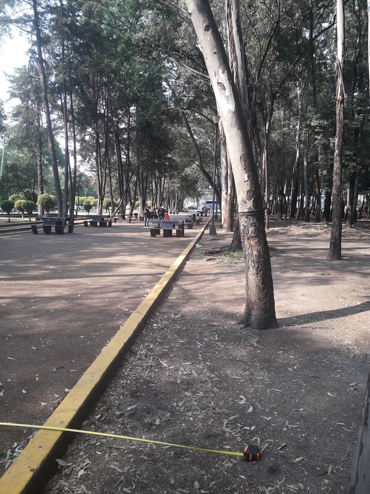 Foro al Aire Libre Parque Ciudad Jardin