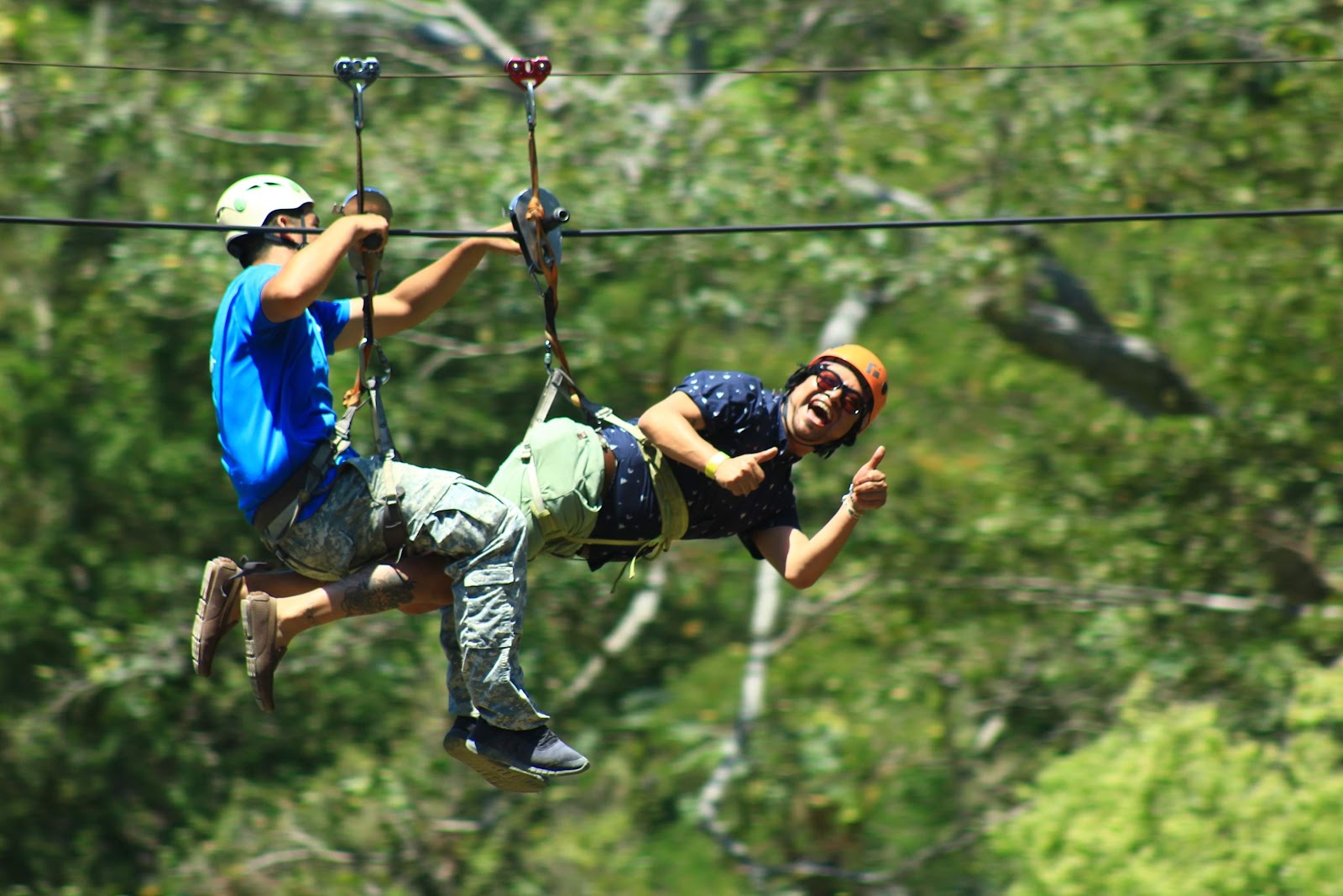 Edenva Canopy y Parque Ecoturistico
