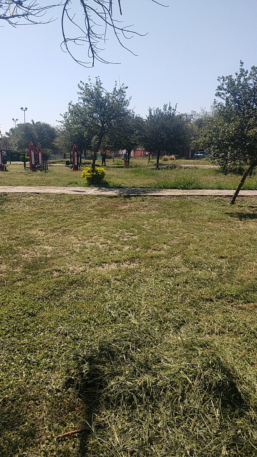 PARQUE ARBOLEDAS LINDA VISTA