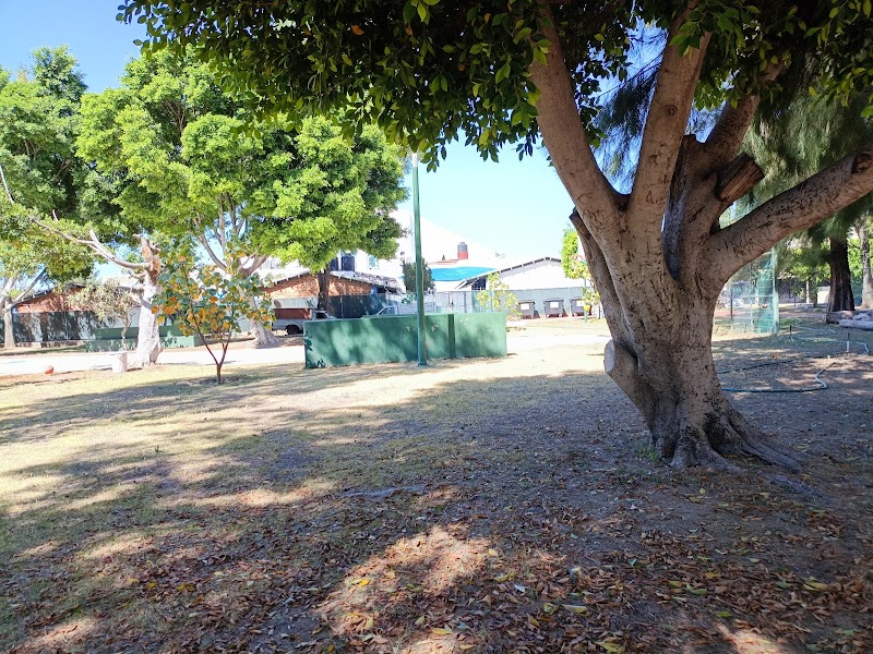 Parque Colonos Prados Tepeyac
