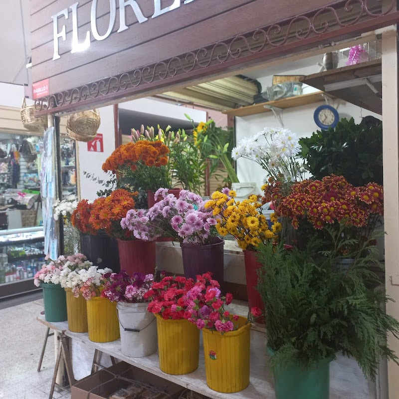Mercado San Pedro de Los Pinos