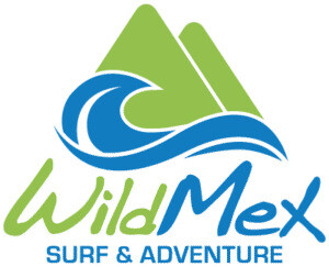 Wildmex Surf School