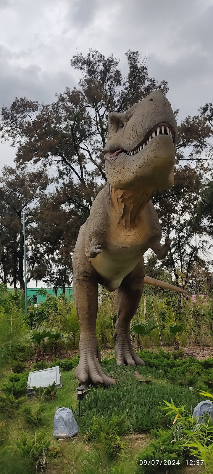 Deportivo Santa Cruz Meyehualco