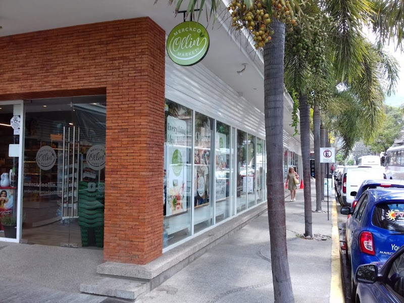 Mercado Ollin Puerto Vallarta