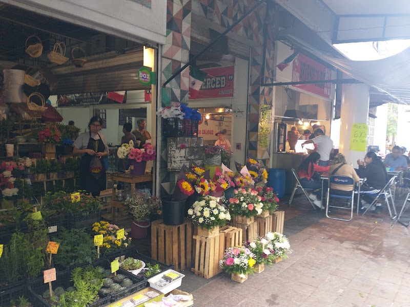 Mercado Corona