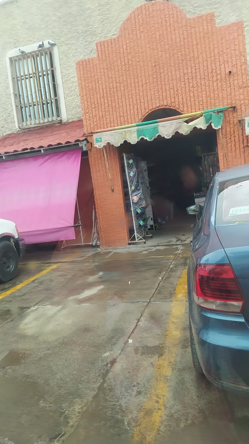 Mercado El Colimense Santiago