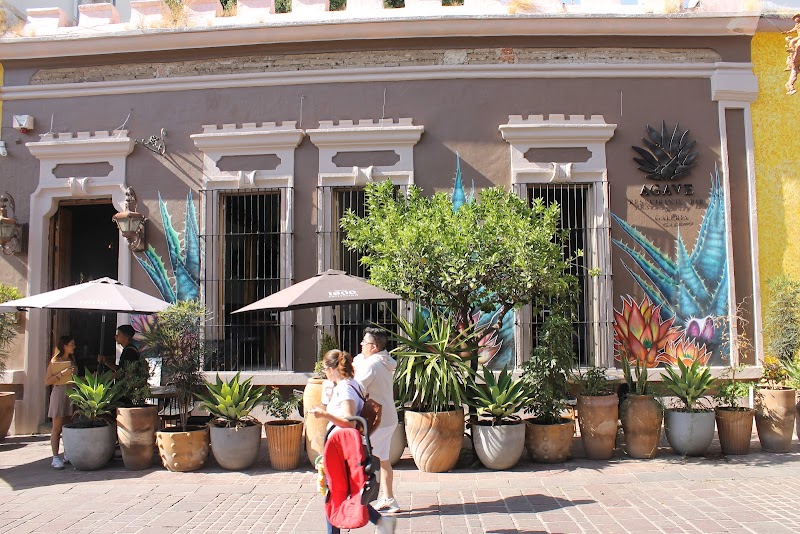 Agave Restaurante & Bar