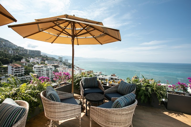 Bar Chictini by Pinnacle