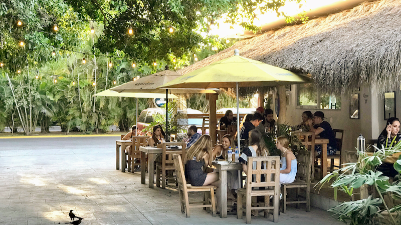 La Ola de Vallarta Nuevo Nayarit