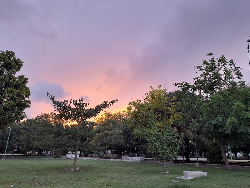 Parque de la Supermanzana 29