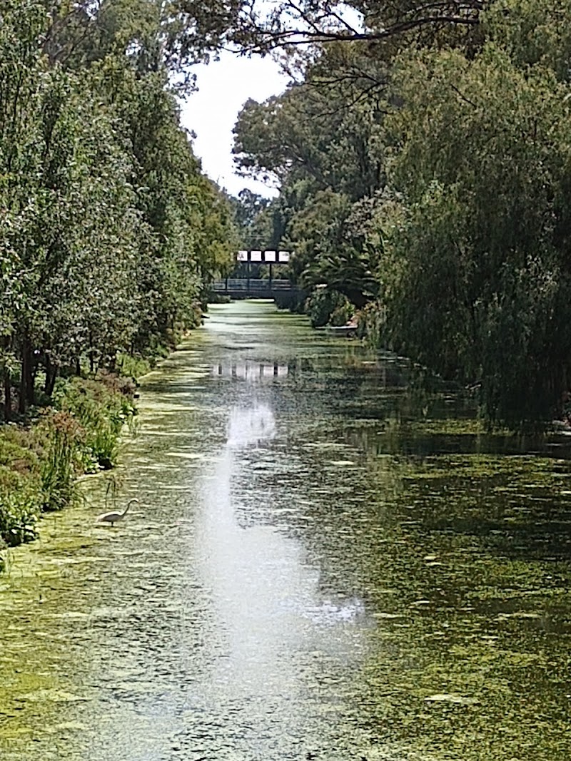 Bosque Urbano Canal Nacional