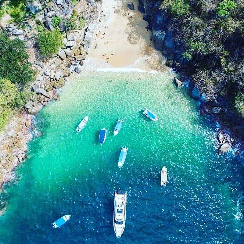 William Exciting Tours – Live the Thrill of Vallarta